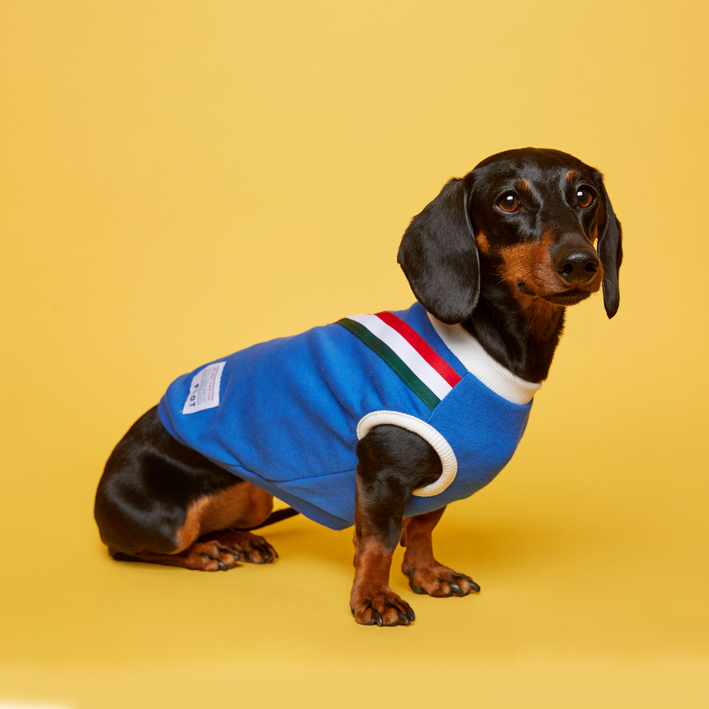 플로트 V라인 민소매 티셔츠 블루화이트 강아지옷