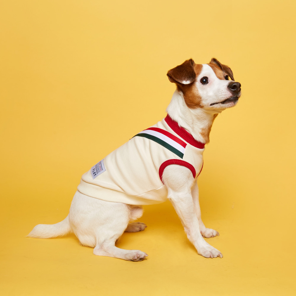 플로트 V라인 민소매 티셔츠 아이보리레드 강아지옷