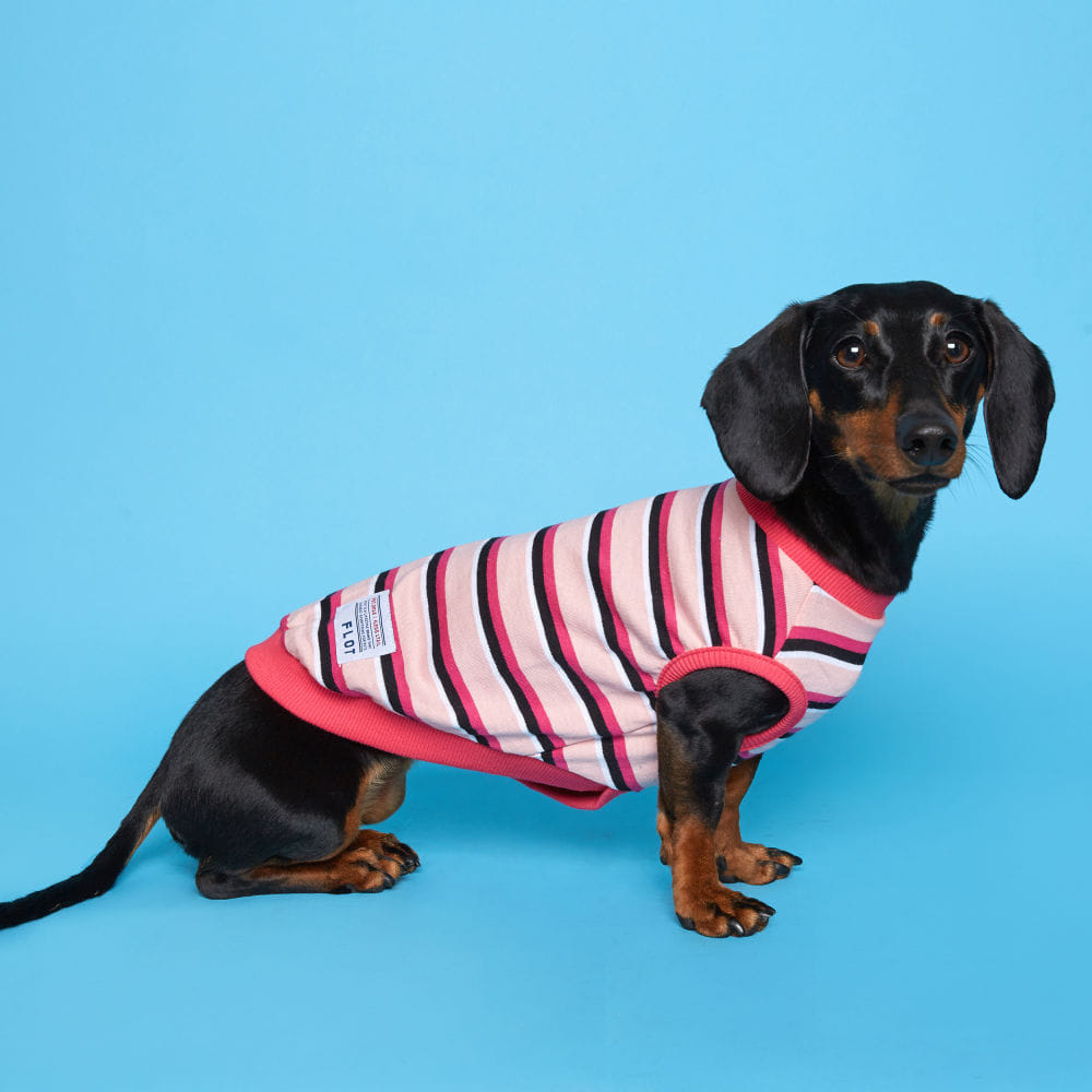 플로트 스트라이프 민소매티셔츠 강아지옷 핑크
