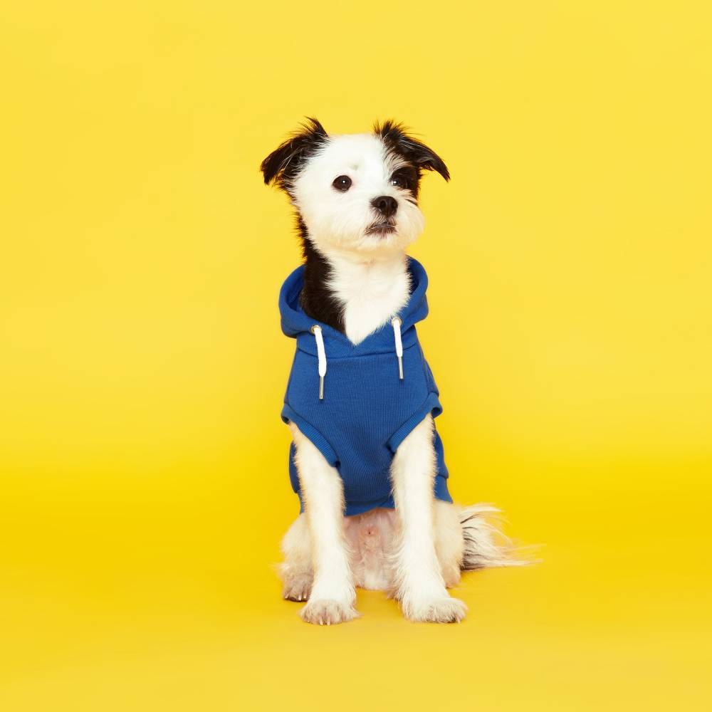 플로트 스탠다드 민소매후드 강아지옷 블루