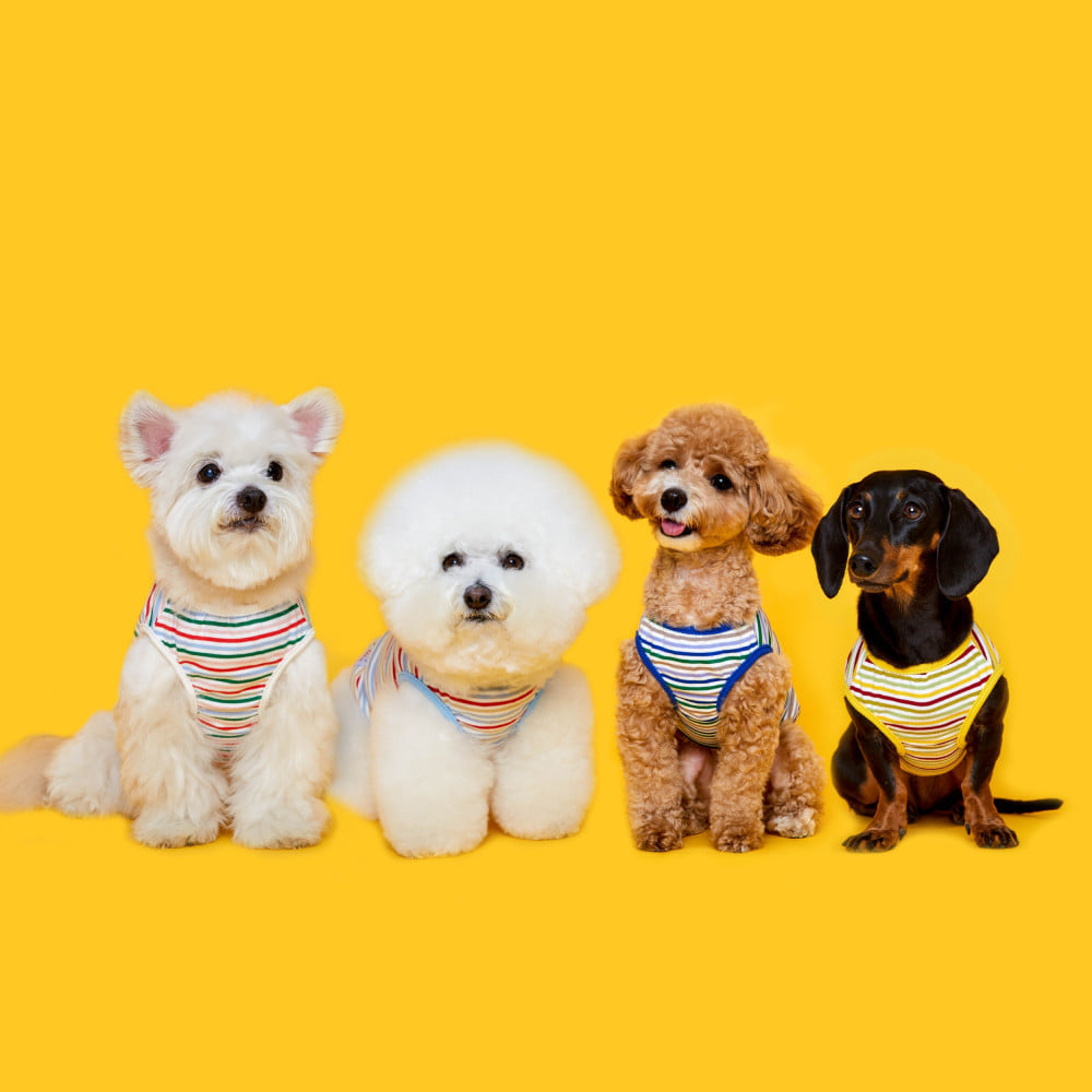 플로트 베이직 롤리팝 민소매티셔츠 4종 강아지옷