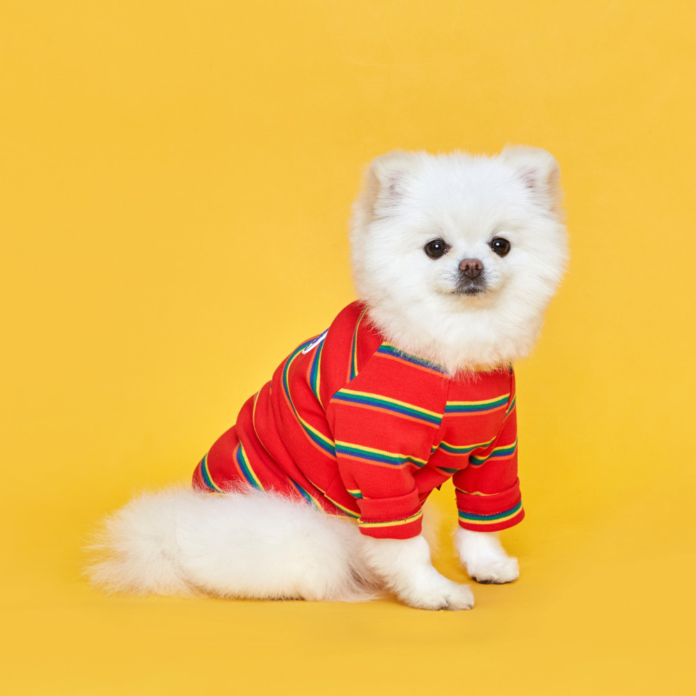 플로트 후르츠 티셔츠 레드애플 강아지옷