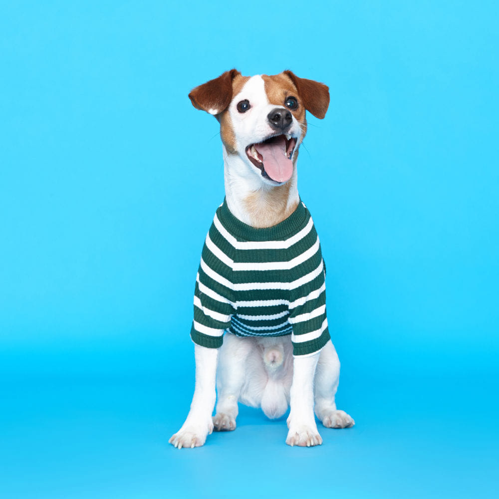 플로트 스탠다드 골지티셔츠 그린 강아지용품