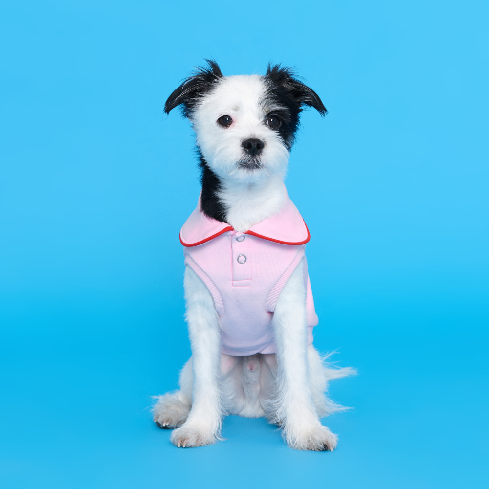 와이드카라 티셔츠 강아지옷 핑크