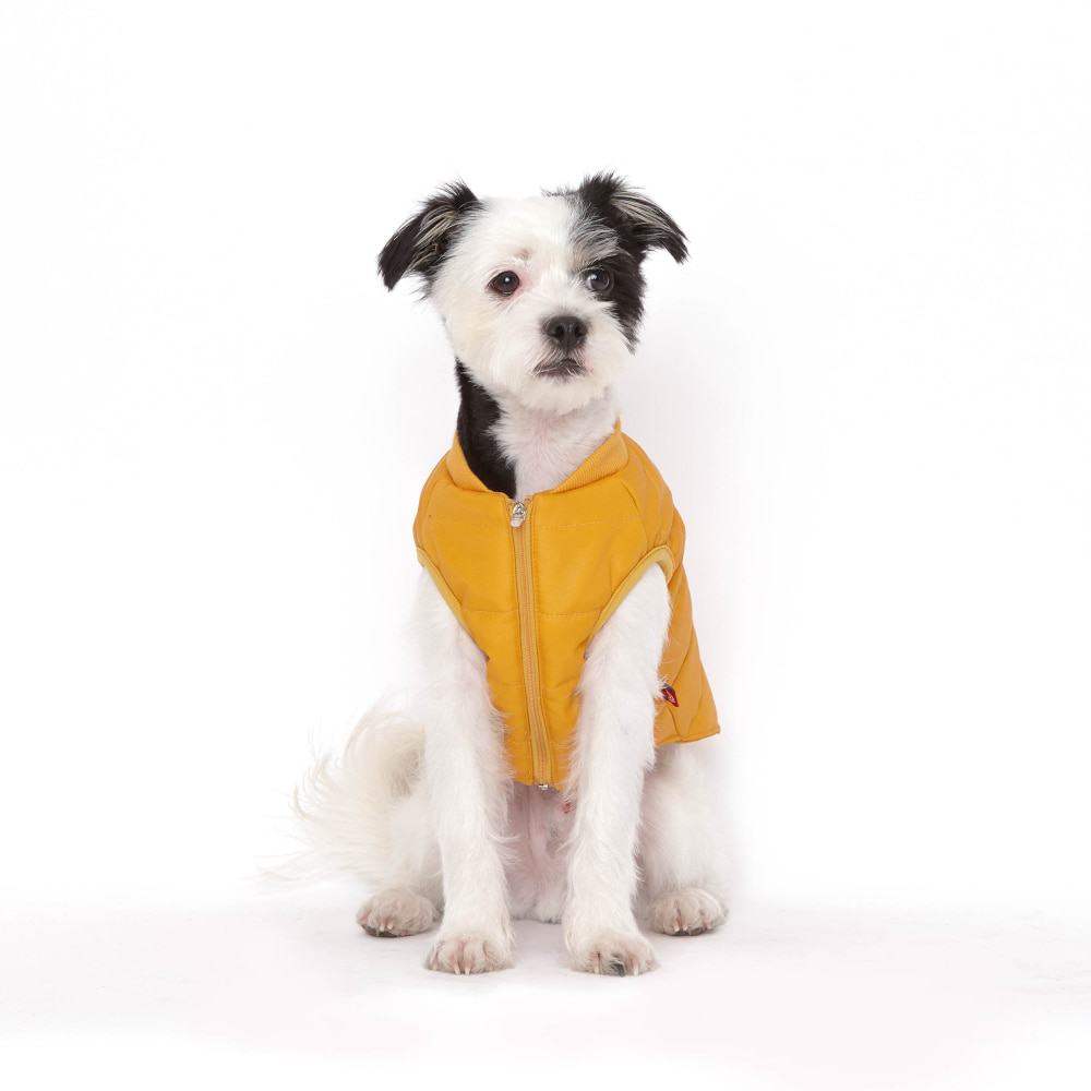 플로트 강아지옷 웜테크 패딩 옐로우