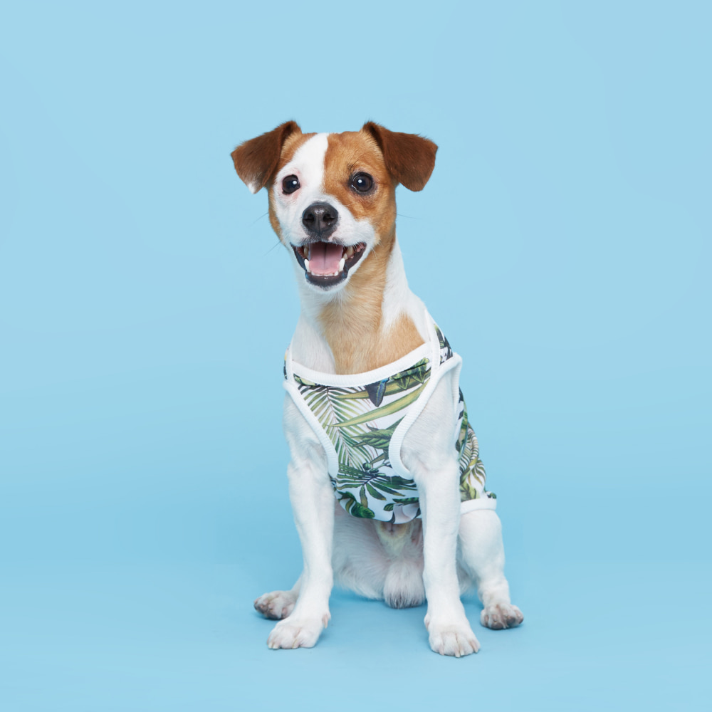 플로트 강아지옷 민소매 티셔츠 하와이안 화이트