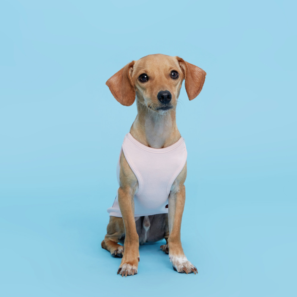 플로트 강아지옷 민소매 티셔츠 핑크