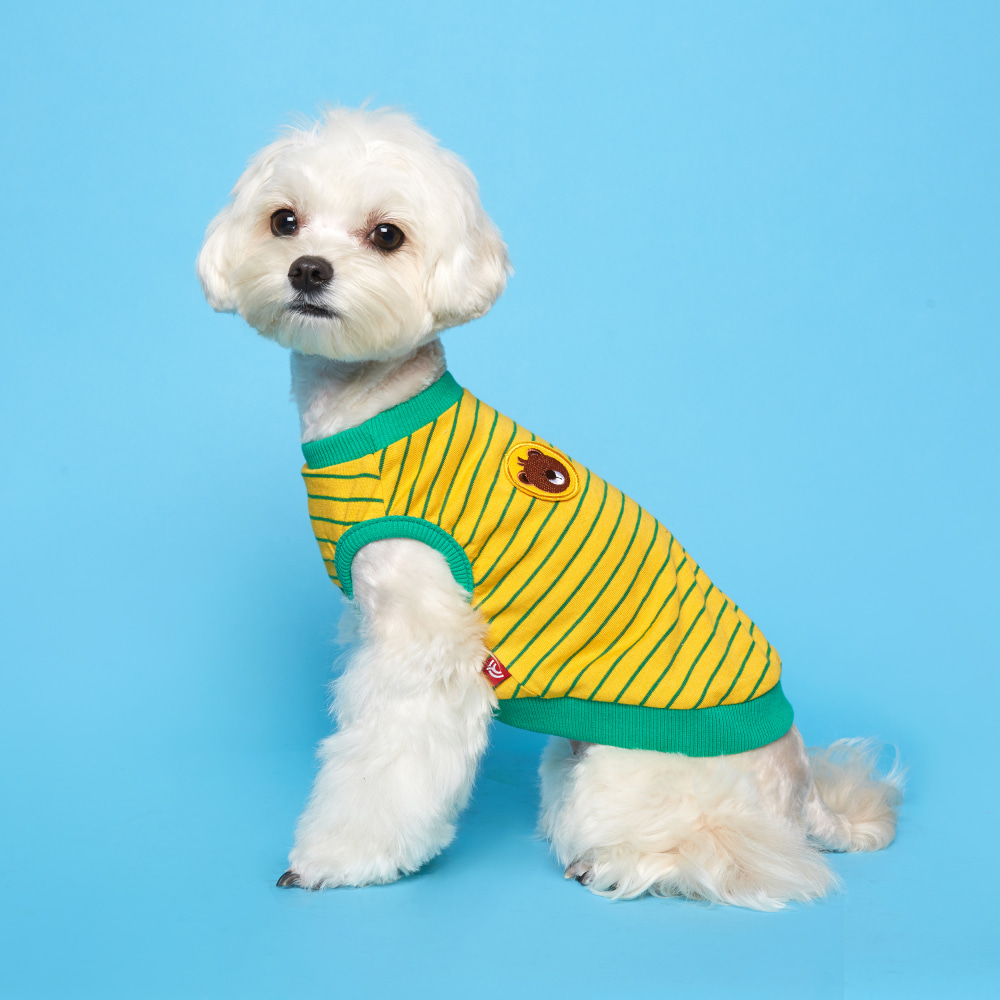 플로트X테디아일랜드 민소매티셔츠 강아지옷 옐로우