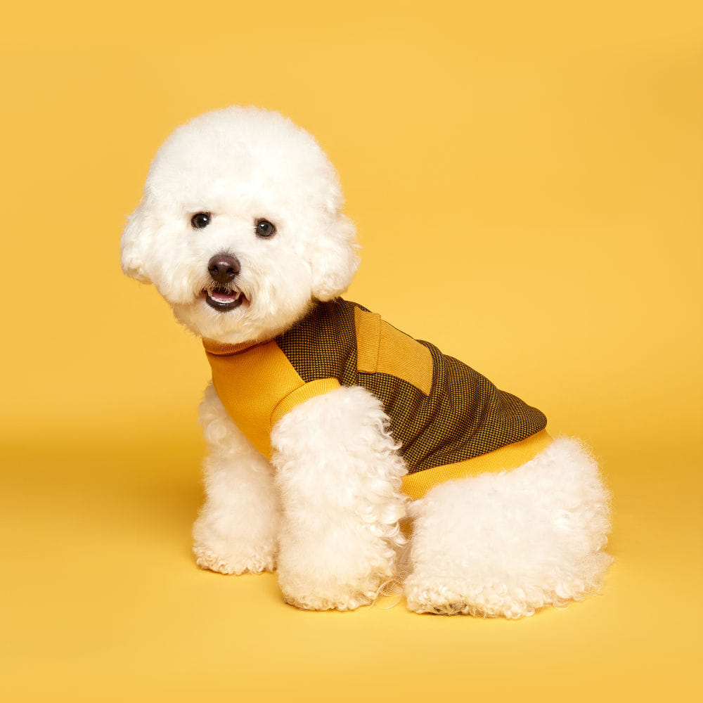 플로트 체크민소매목폴라티셔츠 강아지옷 옐로우