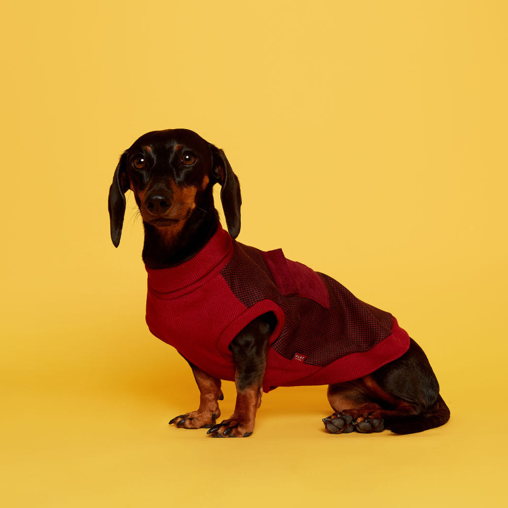 플로트 체크민소매목폴라티셔츠 강아지옷 레드