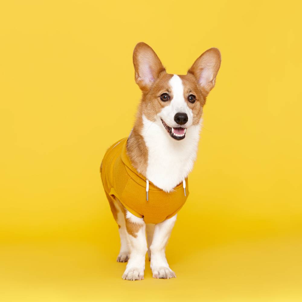 플로트 스탠다드 민소매후드 강아지옷 옐로우
