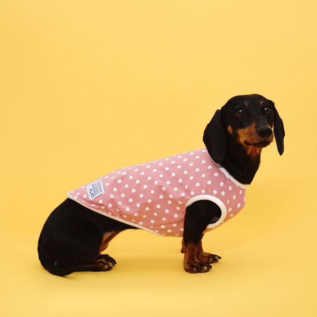 플로트 실내복도트민소매티셔츠 강아지옷 핑크