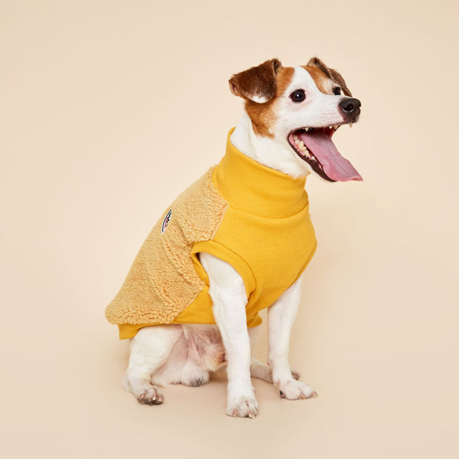 플로트 플러피후리스 하프넥민소매 강아지옷 옐로우