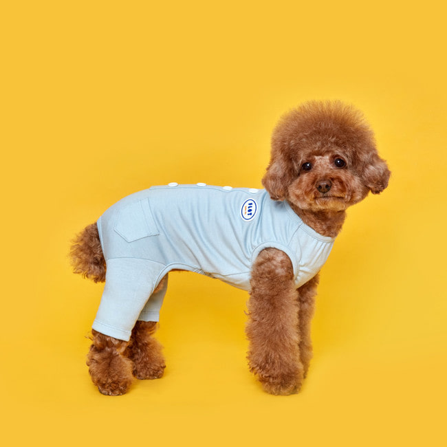 플로트 코지 민소매올인원 스카이민트 강아지옷