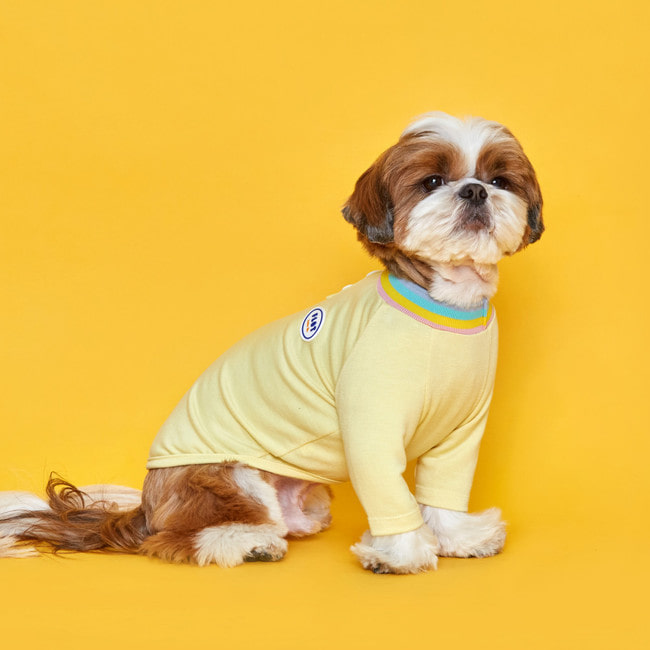 플로트 레인보우코지 티셔츠 레몬 강아지옷