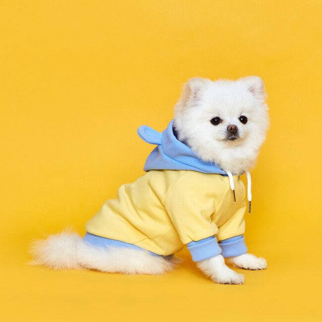 [무료배송] 플로트 베럴라이프베어 후드 레몬베어 강아지옷