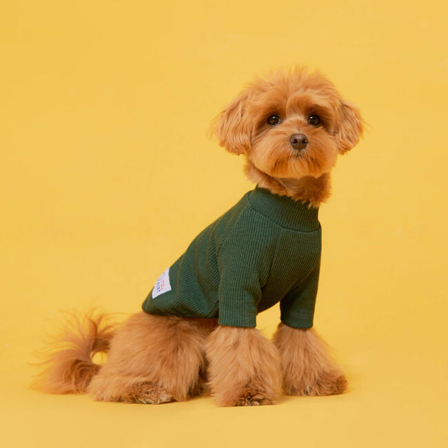 플로트 베이직 하프넥티셔츠 그린 강아지옷